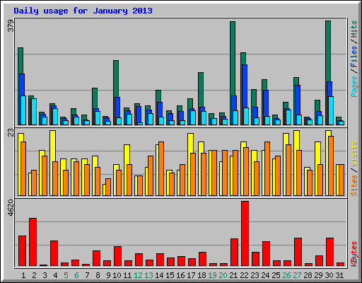 Daily usage for January 2013
