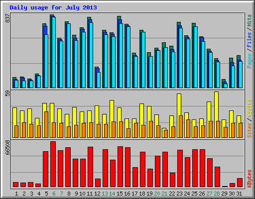 Daily usage for July 2013