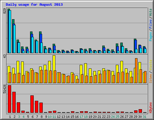 Daily usage for August 2013