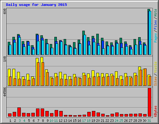 Daily usage for January 2015