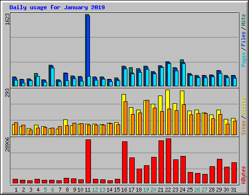 Daily usage for January 2019