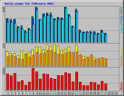 Daily usage for February 2021