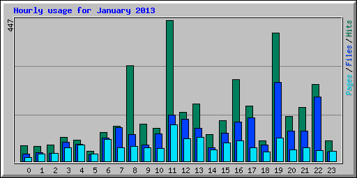 Hourly usage for January 2013