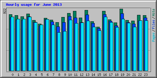 Hourly usage for June 2013