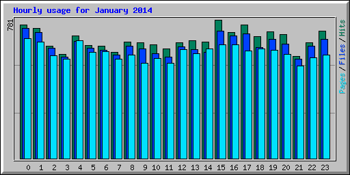 Hourly usage for January 2014
