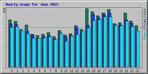 Hourly usage for June 2015