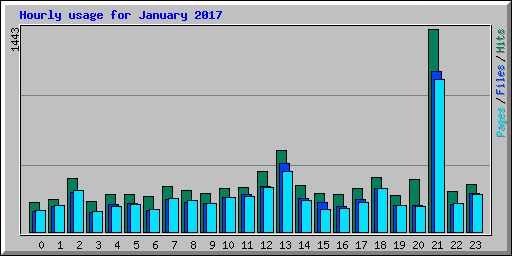 Hourly usage for January 2017