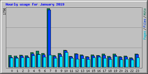 Hourly usage for January 2019