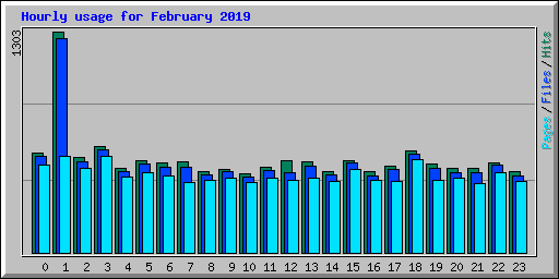 Hourly usage for February 2019
