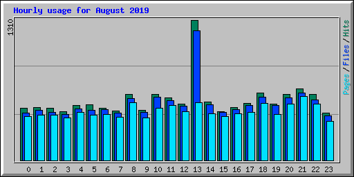 Hourly usage for August 2019
