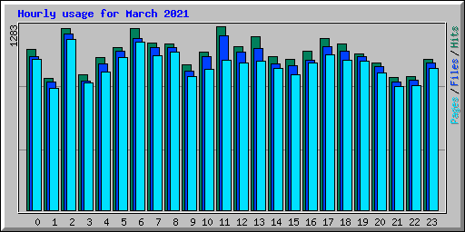 Hourly usage for March 2021