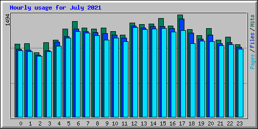 Hourly usage for July 2021