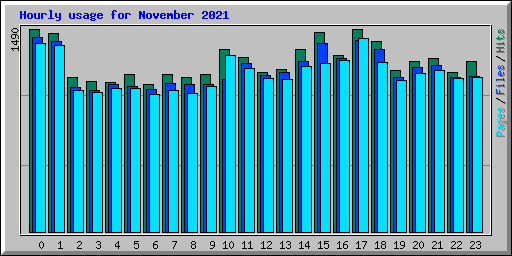 Hourly usage for November 2021