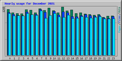 Hourly usage for December 2021