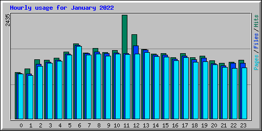 Hourly usage for January 2022