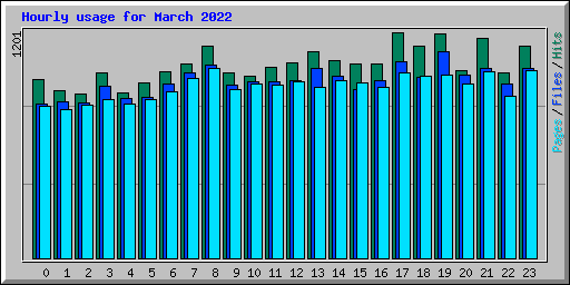 Hourly usage for March 2022