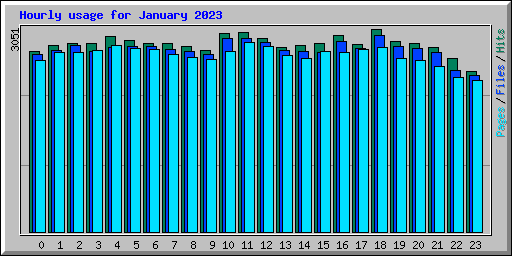 Hourly usage for January 2023