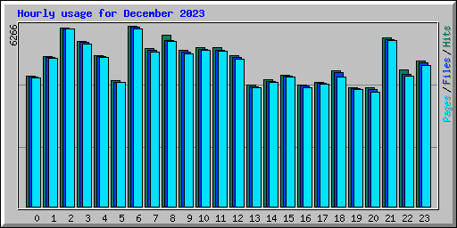 Hourly usage for December 2023