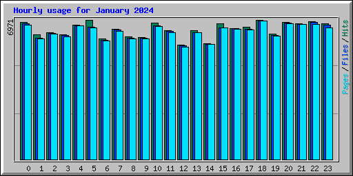 Hourly usage for January 2024